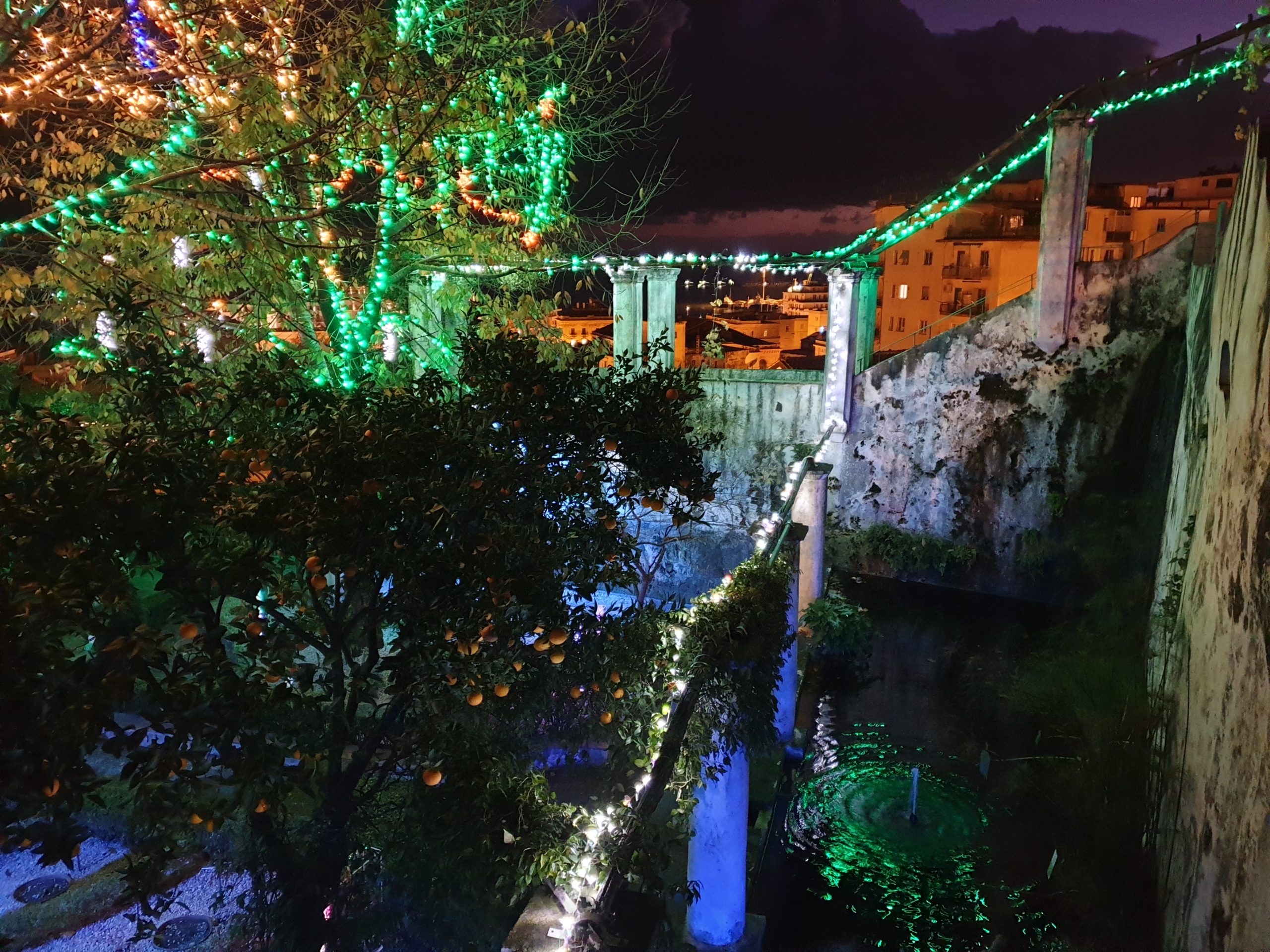 The Minerva Garden lights up with “Lumina Minervae”