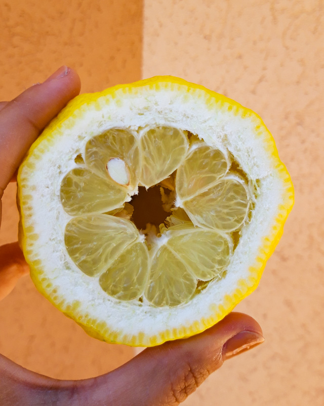 lemon macro