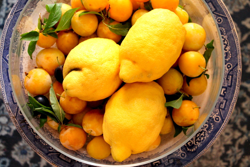 limoni