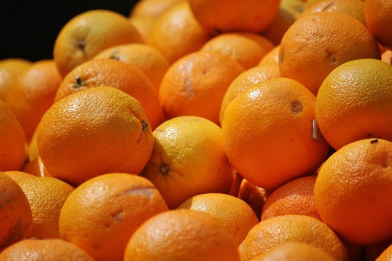 The oranges of the Royal Palace of Caserta: key players in sustainability and social value